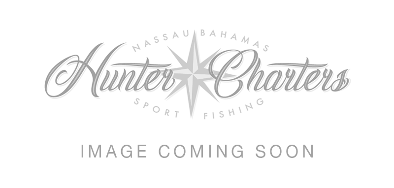 Bahamas Fish - Hunter Charters